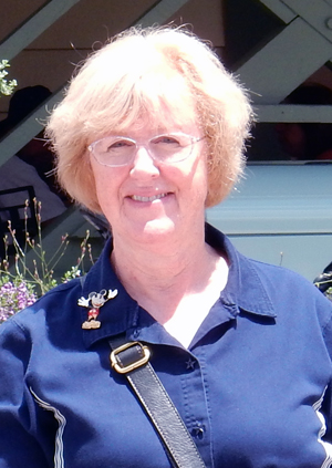 Diana, ISDP Manager